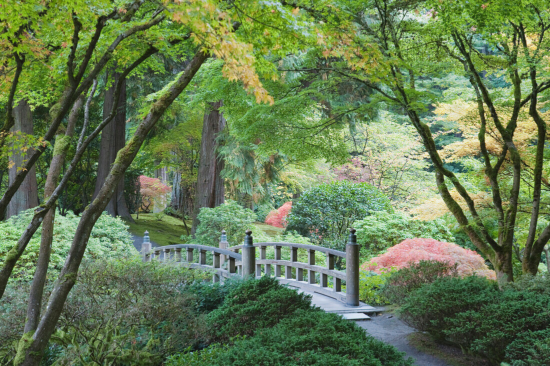Moon Bridge in a Japanese Garden,  Portland, Oregon, USA