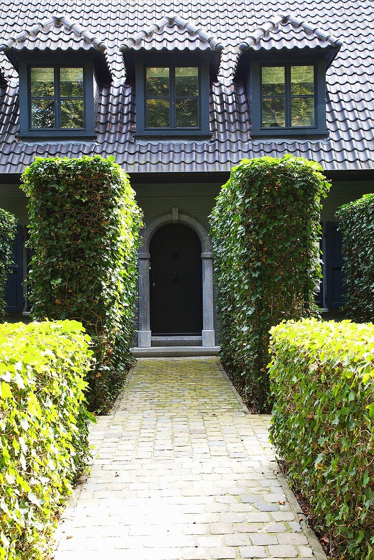 A trimmed hedge bordering a path, leading to the entrance of a house
