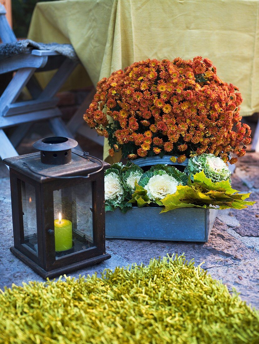 Autumnal atmosphere - a lantern with a burning candle and autumn aster in a box