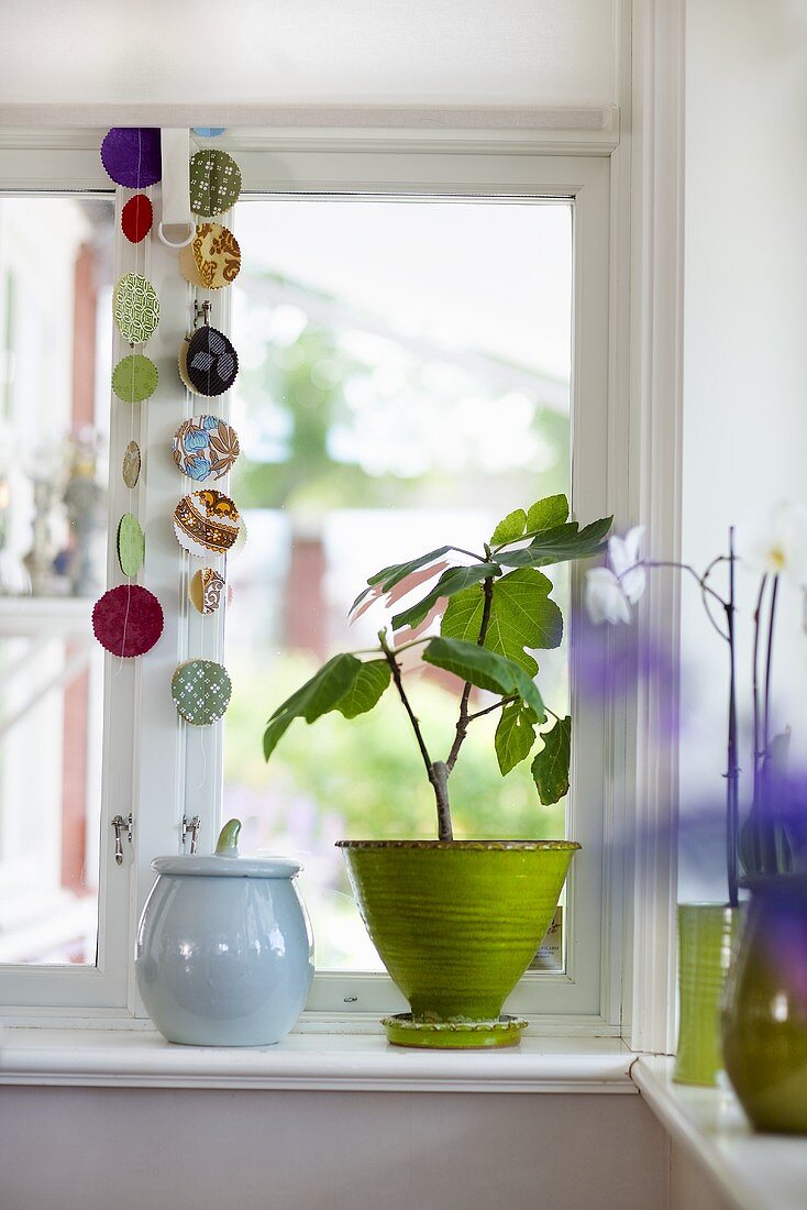 Pflanze in grünem Übertopf und Keramikgefäss auf Fensterbank
