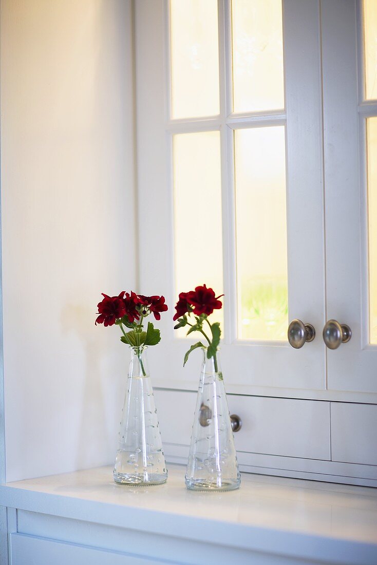 Zwei Vasen mit roten Blumen auf Ablage eines weissen Küchenschranks mit opaken Glastüren