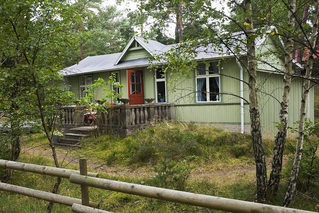 Grünes Holzhaus im Wald mit rotem Hauseingang und Steinterrasse
