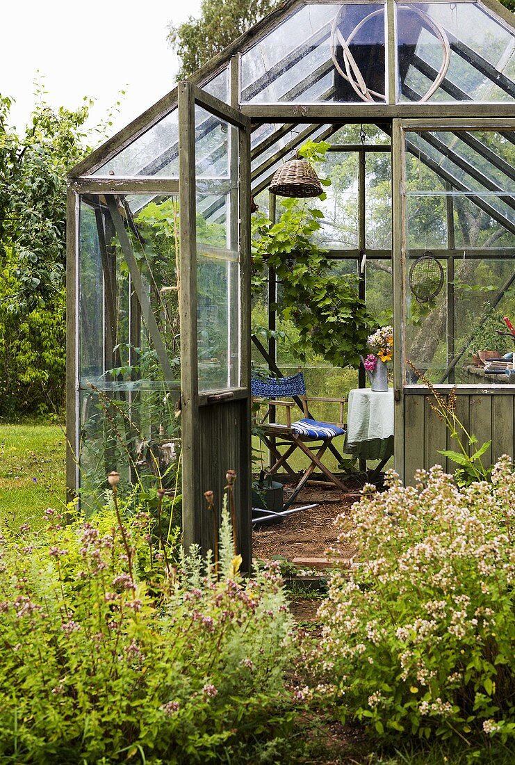 A greenhouse made of wood and glass in a garden with blooming meadow flowers