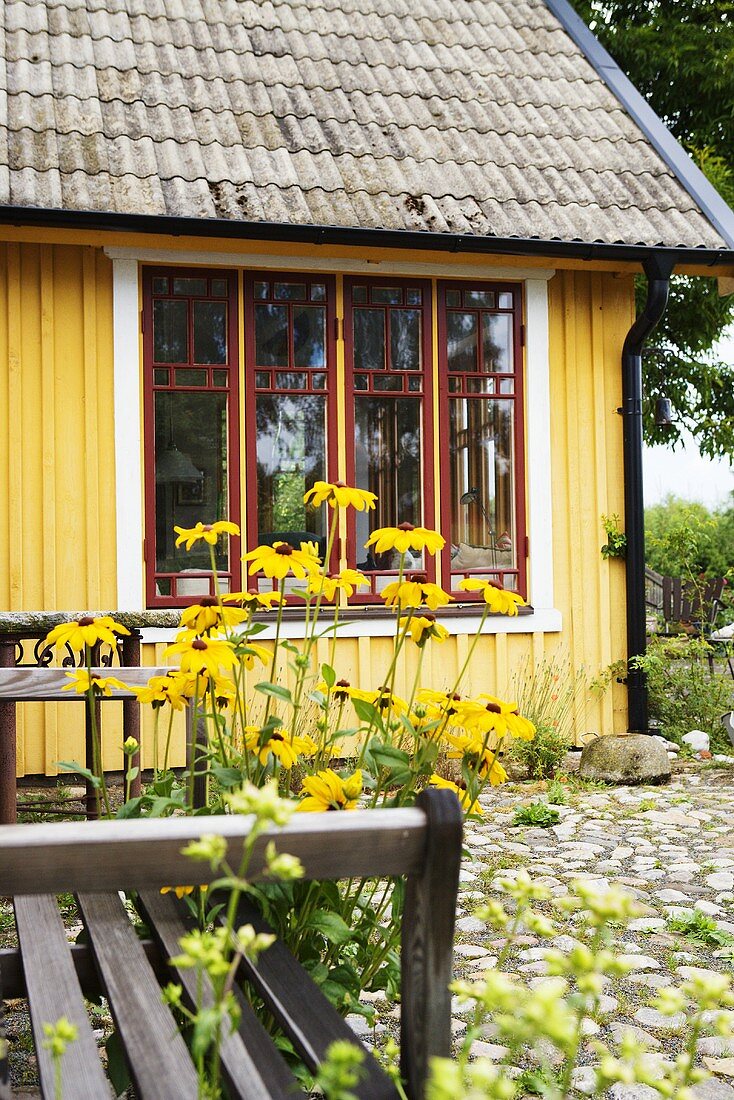 Terrassenplatz vor Einfamilienhäuschen mit gelber Holzfassade