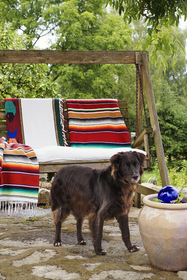A dog in front of a swing chair with an ethnic blanket on a natural stone terrace