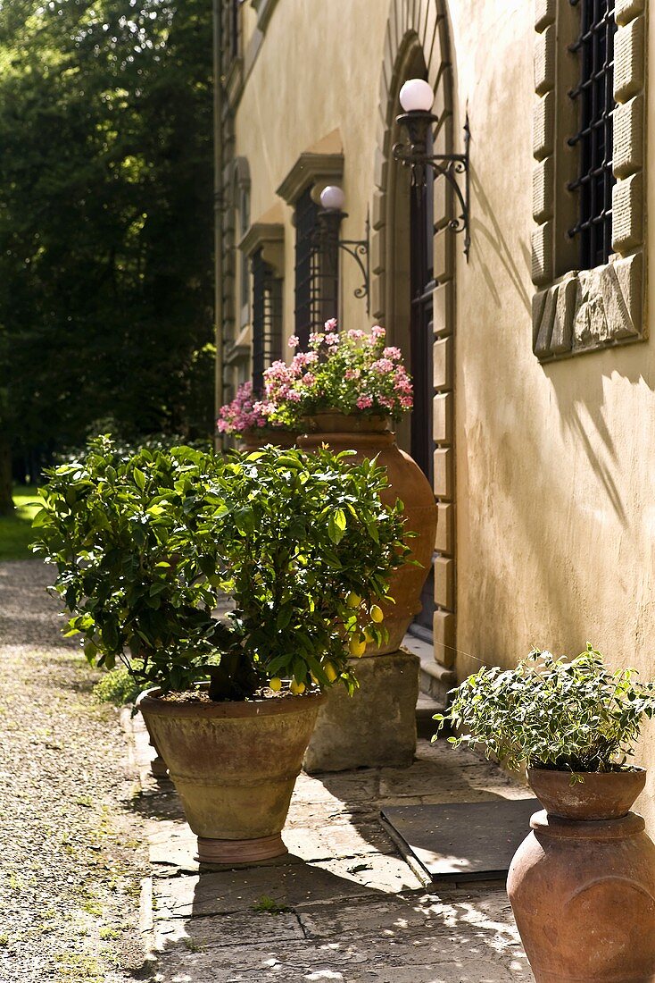 Planters in front of the facade of a Mediterranean house
