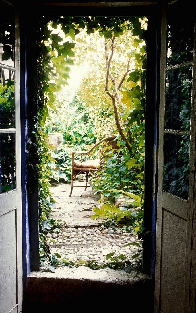 Blick durch eine geöffnete Terrassentür in den verwilderten Garten