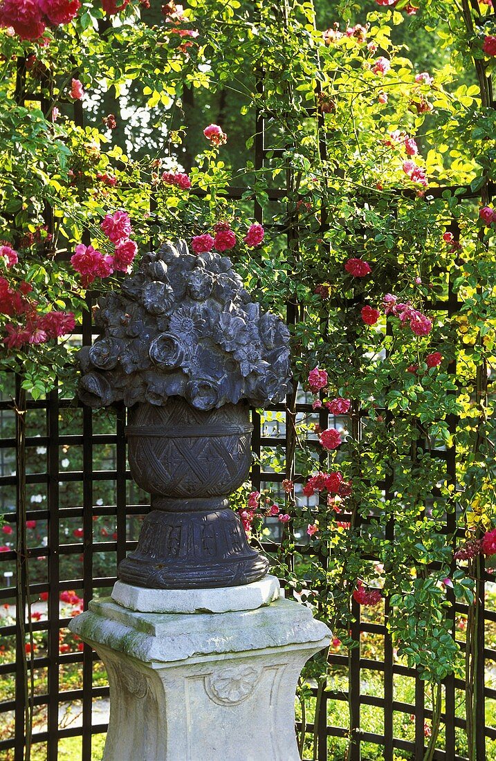 Stone plant pot on a pedestal in front of a rose covered trellis
