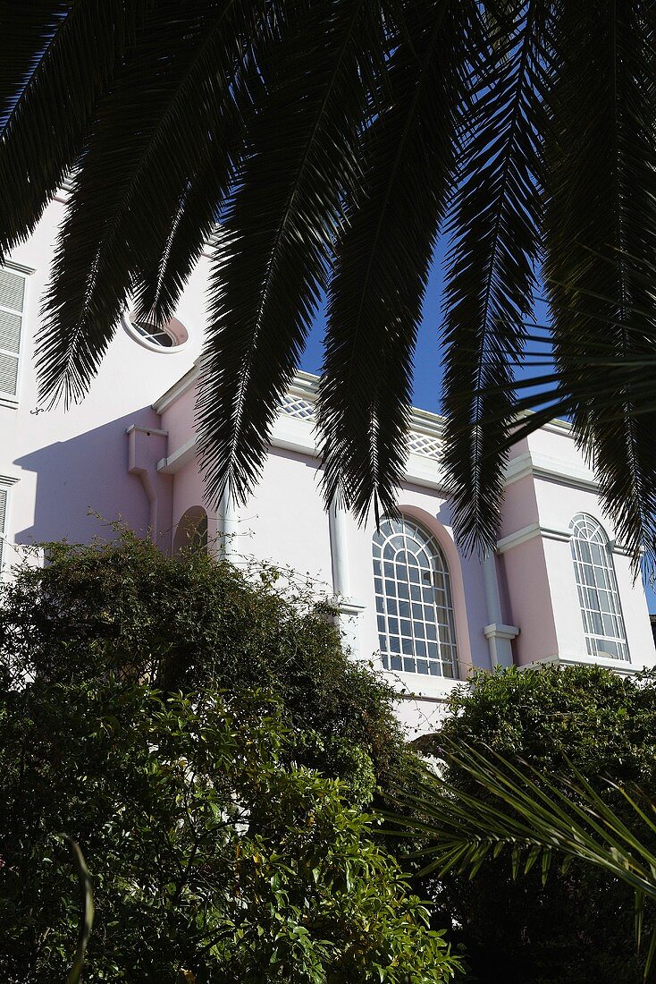 Palme vor einer Villa mit eleganter Fassade