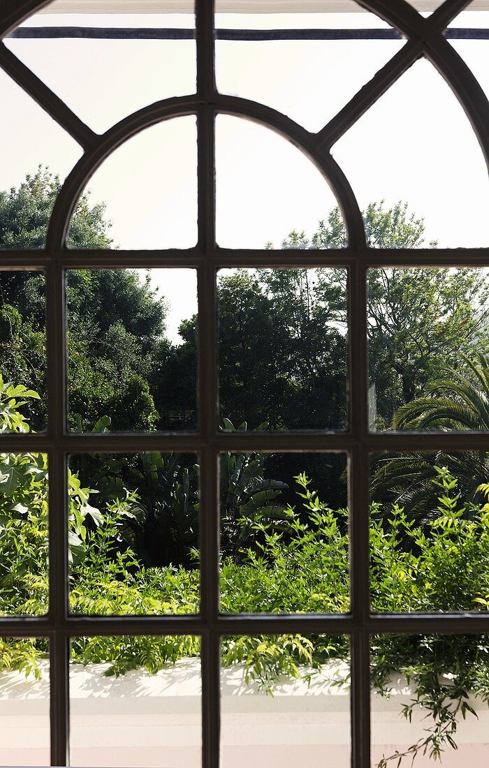Blick durch Rundbogenfenster auf tropischen Garten