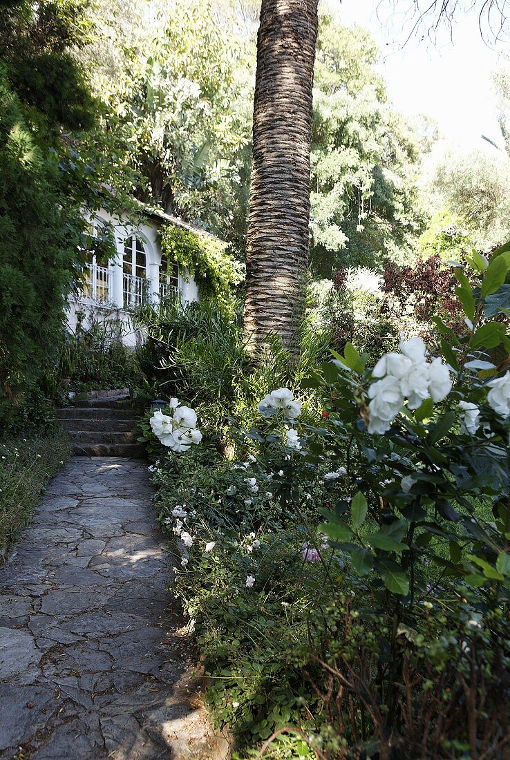 Weg mit Natursteinplatten durch tropischen Garten mit Stufen zum Landhaus