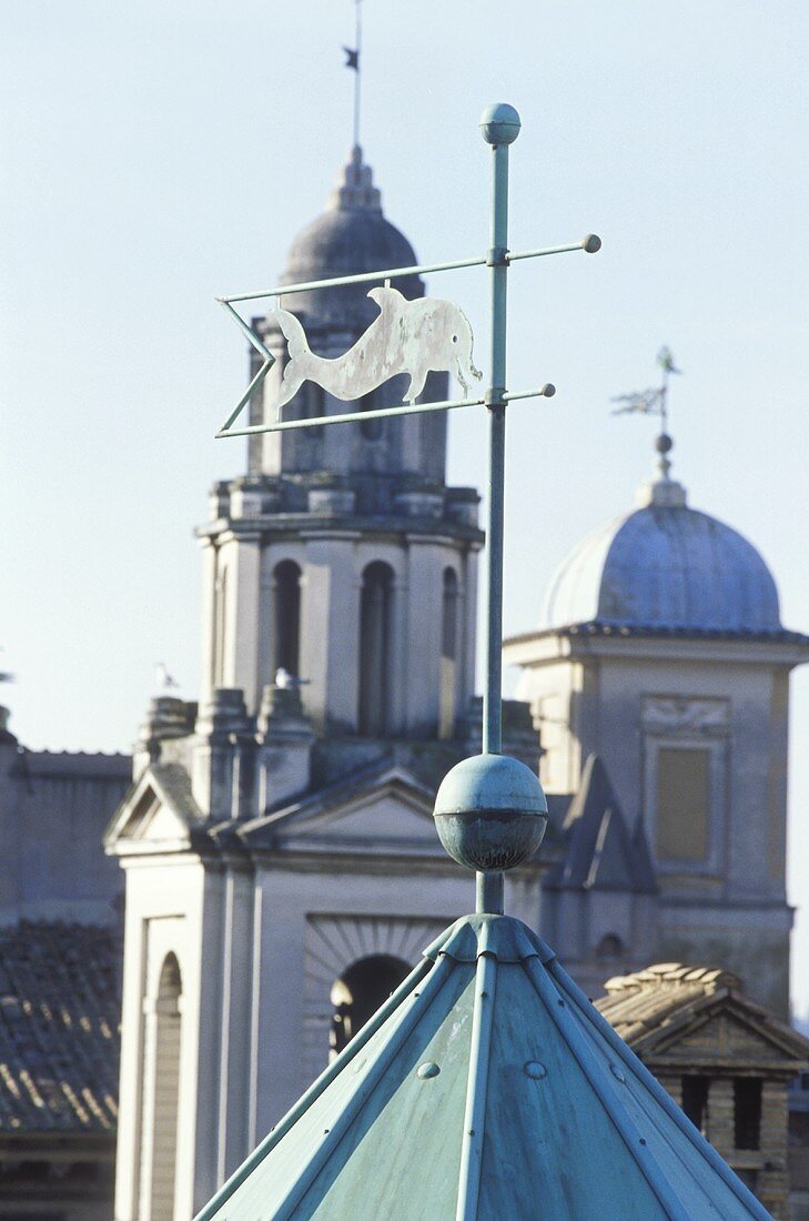Wetterfahne mit Fischmotiv auf Turmspitze und Blick auf eine Kirche
