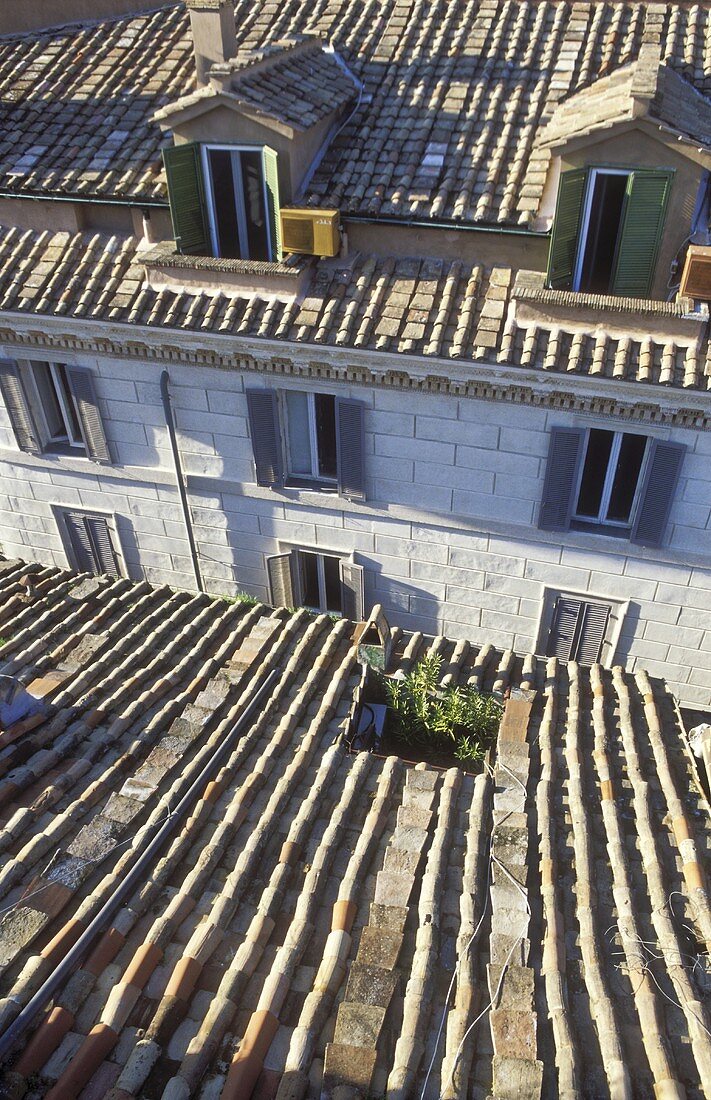 Blick vom Dach auf Gauben und Fassade eines Wohnhauses