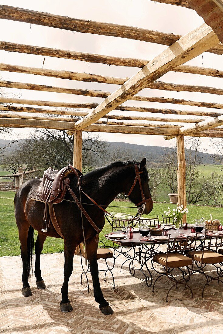 A saddled horse on a terrace under a pergola in front of a set table