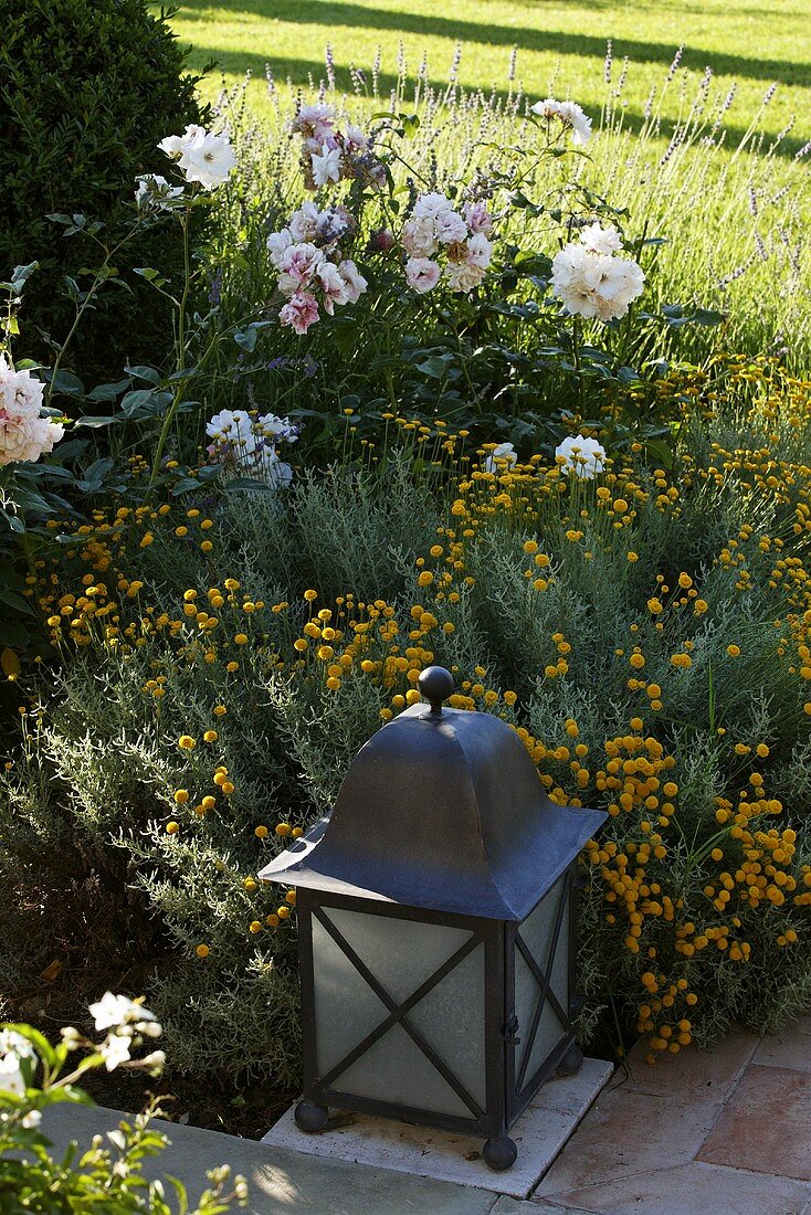 Floor lamp at the edge of a path in front of blooming yellow flowers in the garden