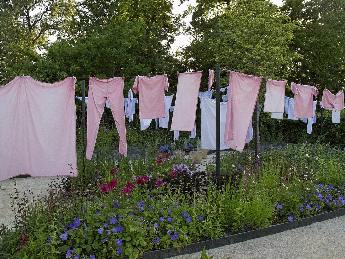 Künstlerische Aktion - rosafarbene Wäsche an Wäscheleine im Garten