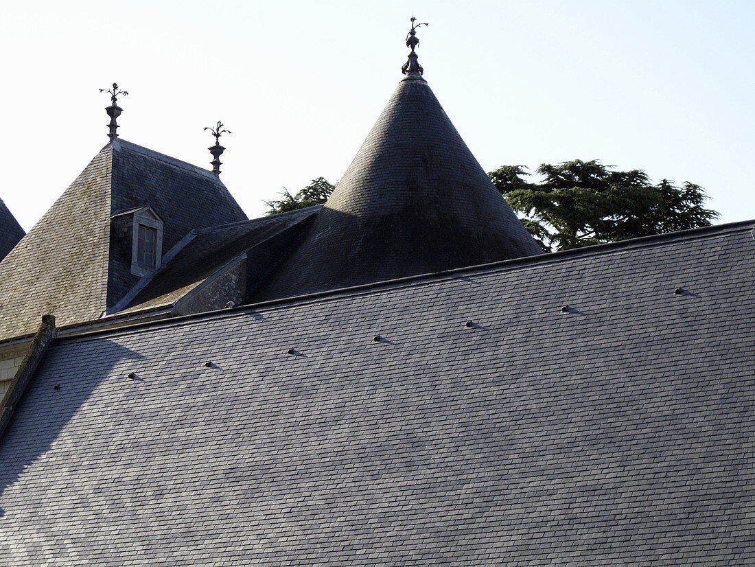 Dachlandschaft aus verschiedenen Dachformen in grauer Ziegelhaut