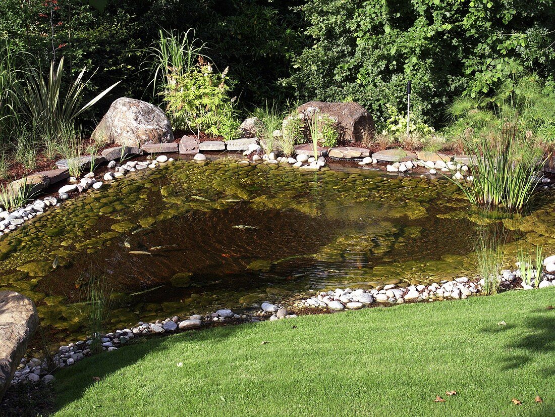 Teich mit Kieselsteinrand und Wasserpflanzen im Garten