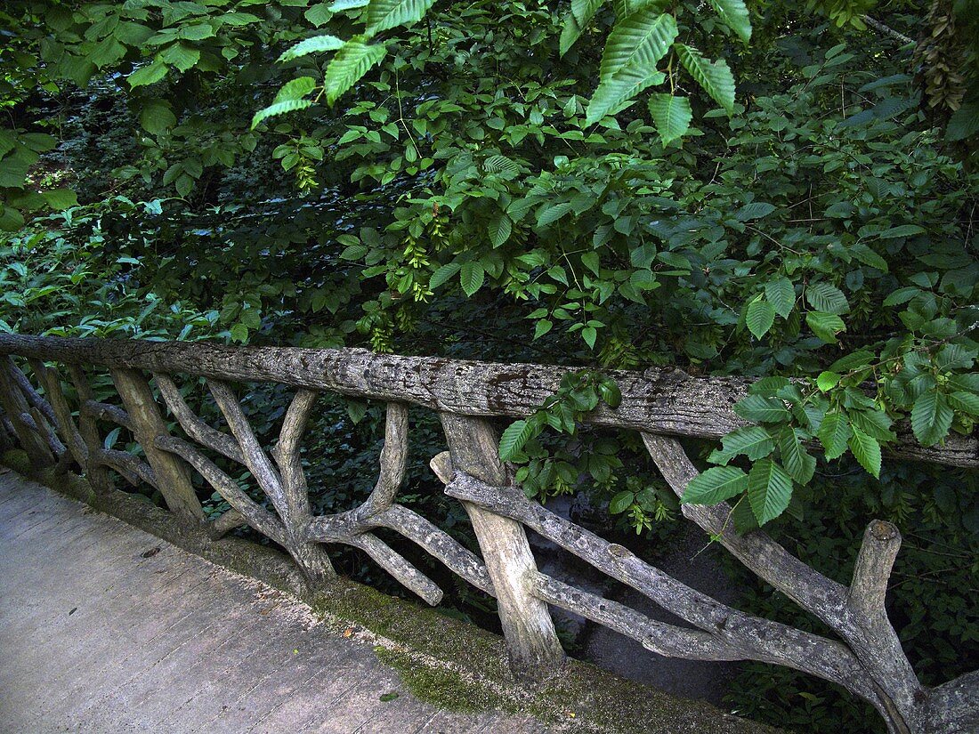 Rustic wooden bridge railing and trees