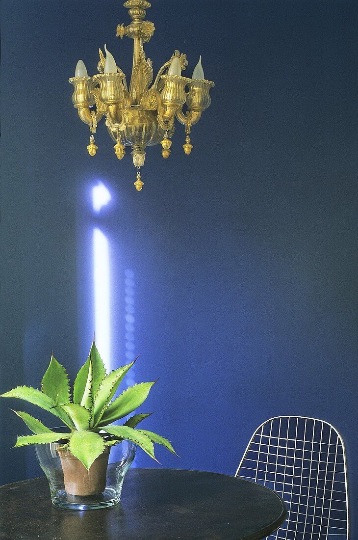 Messingkerzenleuchter vor blauer Wand und Kaktuspflanze auf Holztisch