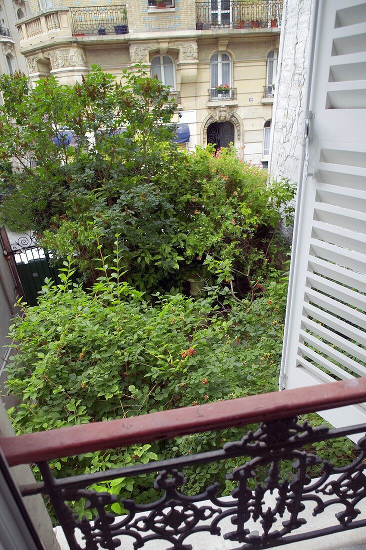 Blick vom Fenster mit schwarzem Brüstungsgitter in Hinterhof eines Wohnhauses