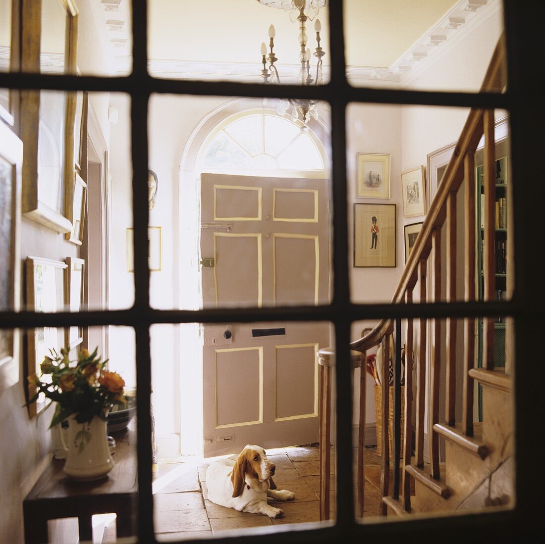 A view through an old transom window onto a front door with a ceiling light and a dog