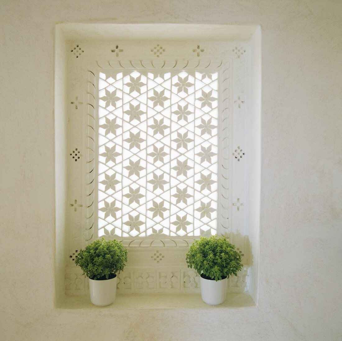 A window with a carved floral pattern and green plants in white pots