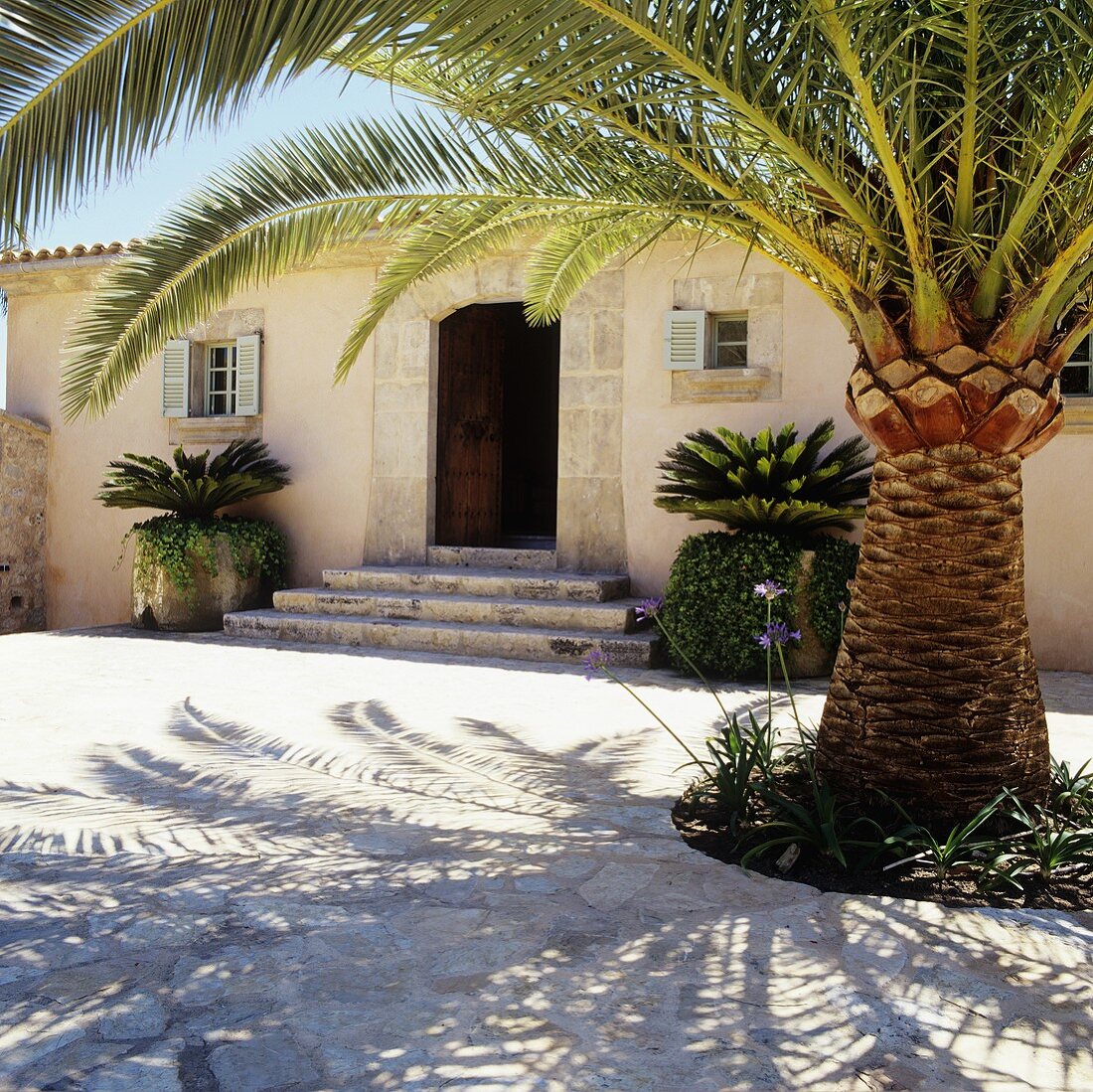 Palm trees in front of a Mediterranean house with an open door and stone steps