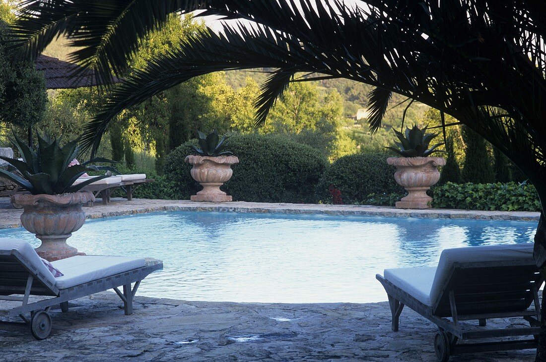 An idyllic pool in a Mediterranean garden