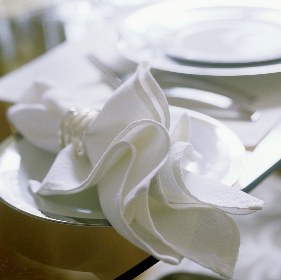 White napkins with rings on a white plate