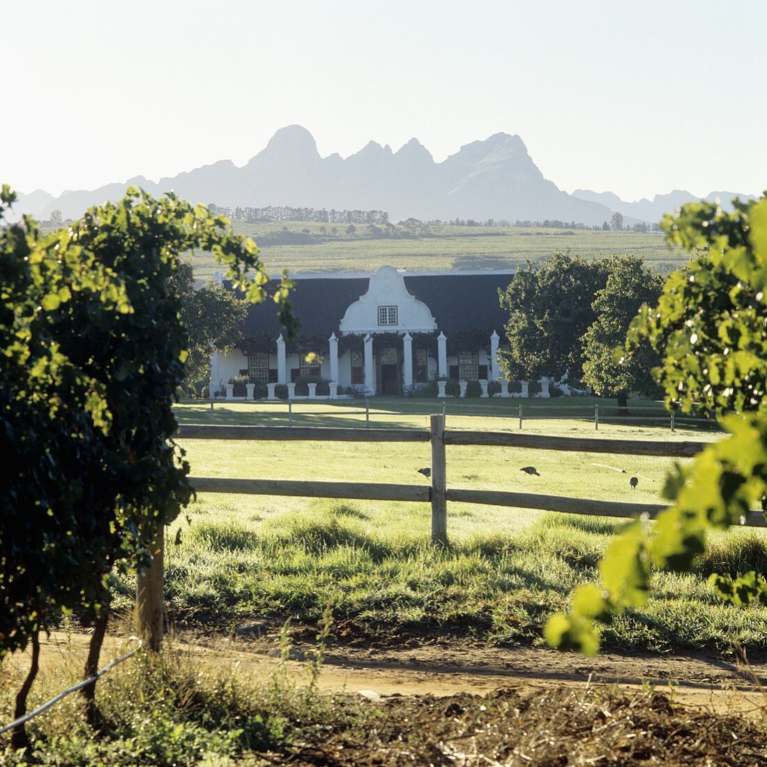 A country house in South Africa