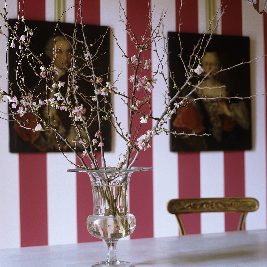 A flowering sprig in a glass vase in front of a red and white striped wall hung with pictures