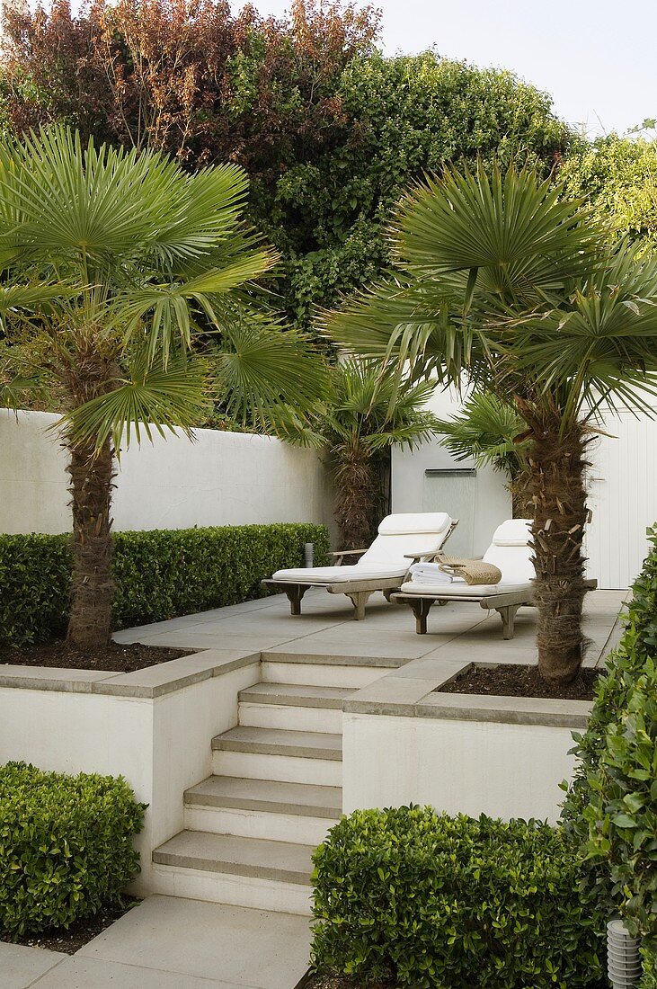 Relaxation on an elegant terrace with palms