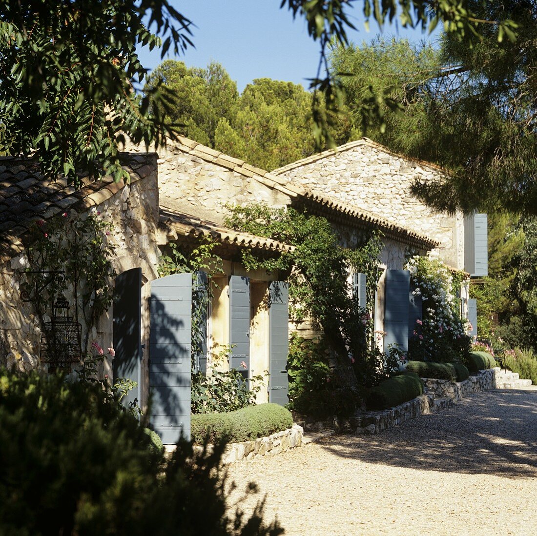 A Mediterranean country house with grey shutters and a vine-covered natural stone facade