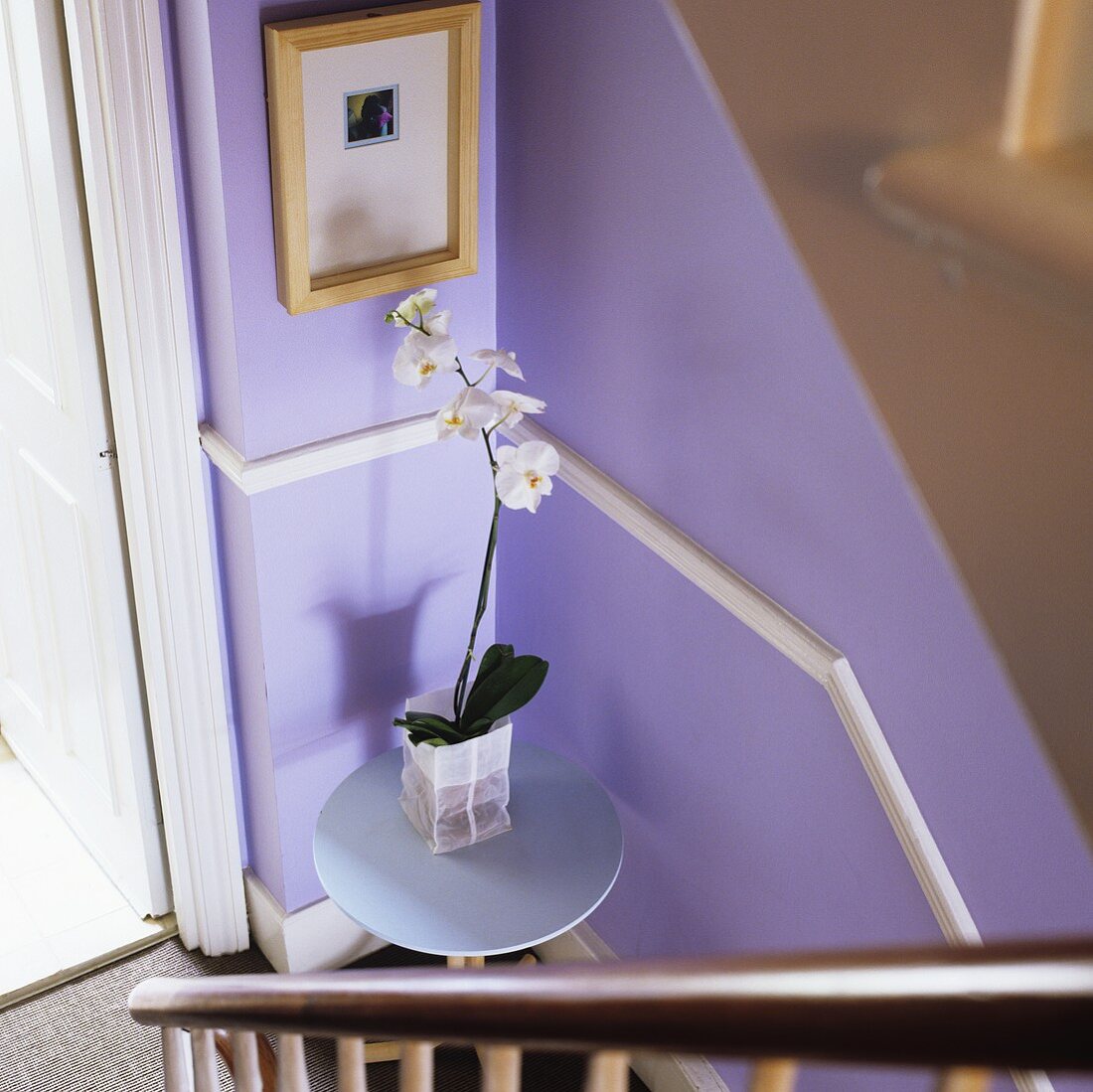 An orchid on a table on a half landing in front of a lilac-painted wall
