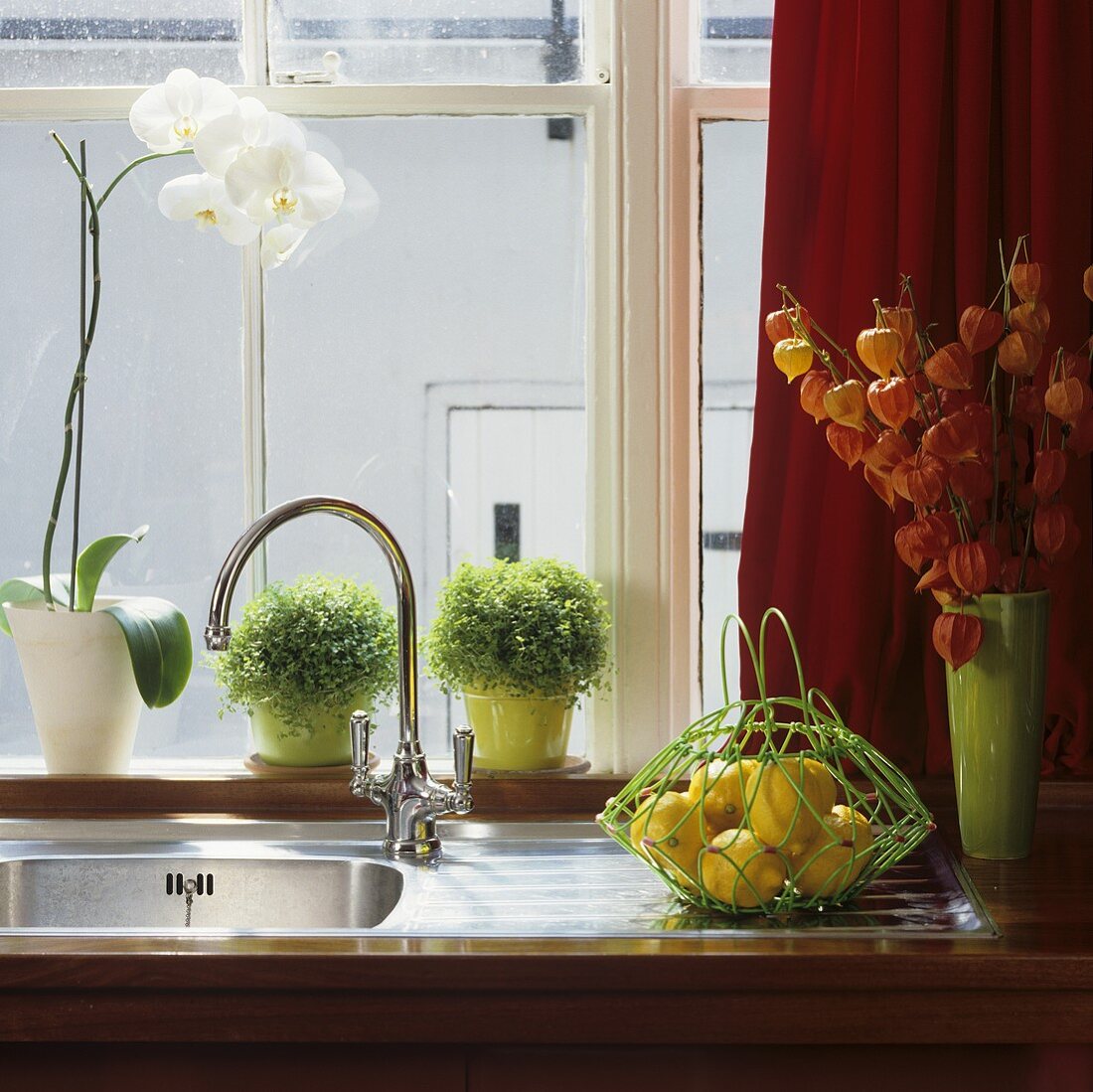 A stainless steel sink with vintage taps and pots of herbs on the window sill