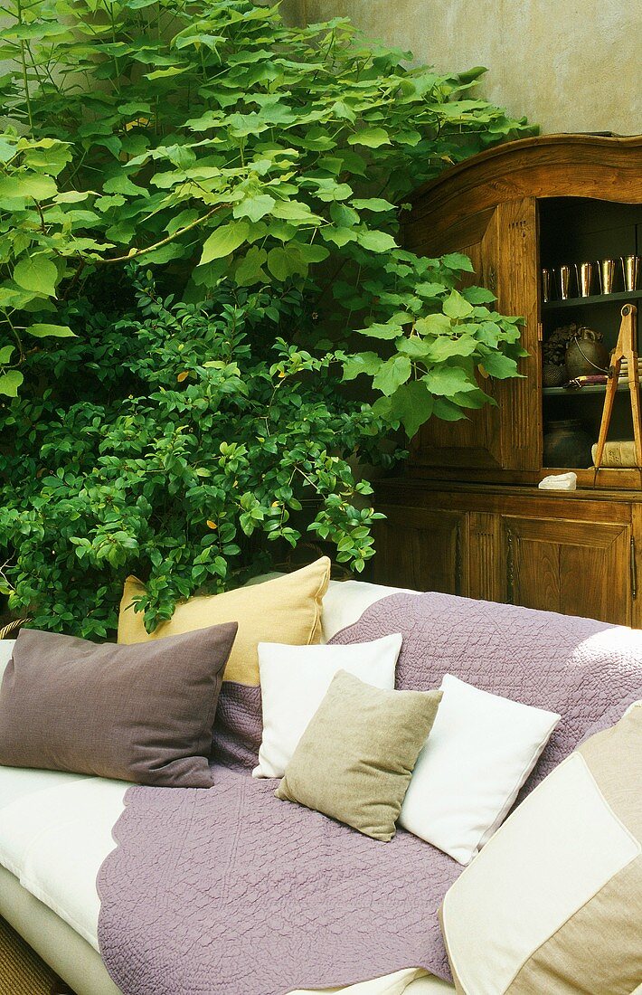 Sofa mit Kissen vor baumgrossen Zimmerpflanzen
