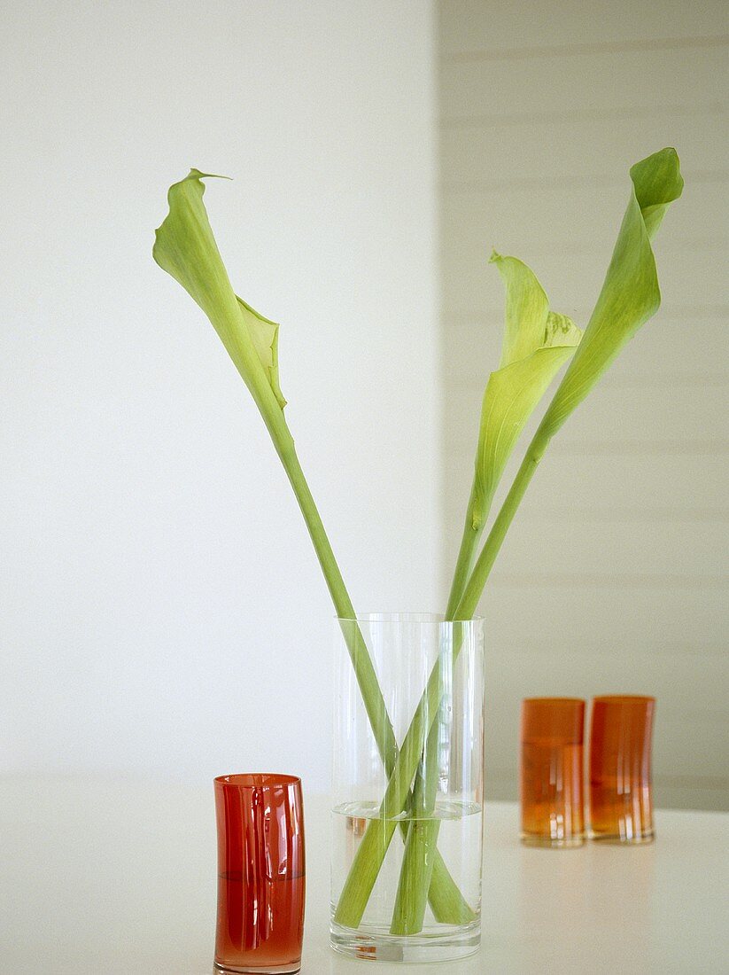 Blumenblätter in Glasvase und rote Vasen auf weisser Unterlage