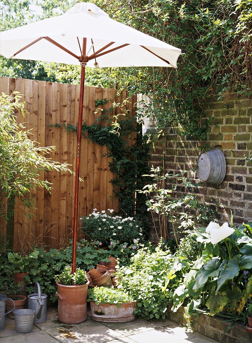 Corner of a garden with a brick wall and fencing, a parasol, pots and planters, flowers, shrubs