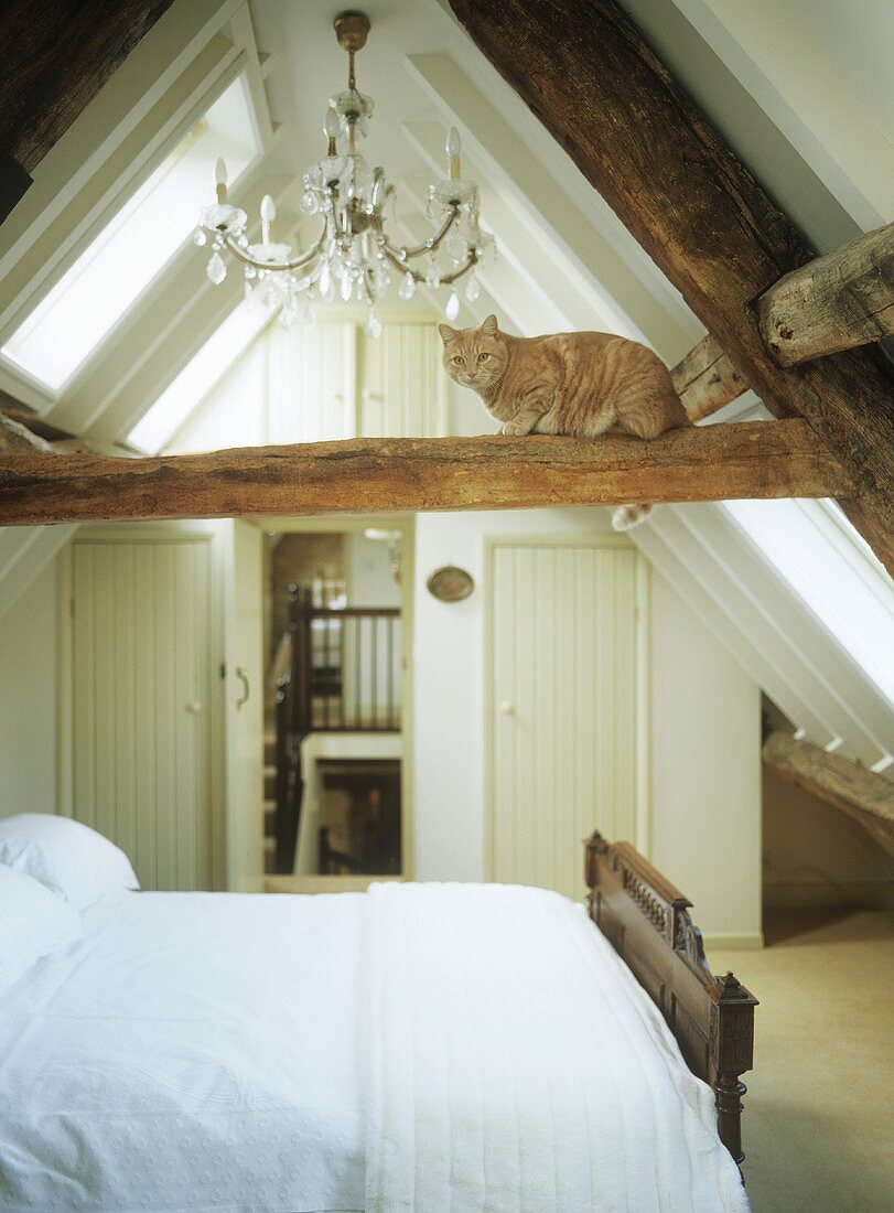 Schlafzimmer im Dachgeschoss mit Katze auf Holzbalken.