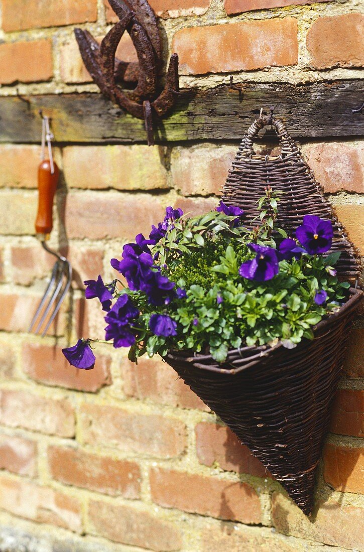 Woven wooden hanging basket filled with purple flowers and greenery