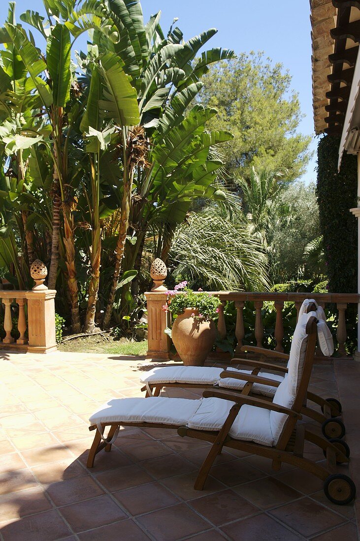 Schattiges Plätzchen mit Liegestühlen auf Terrasse und Mediterraner Garten