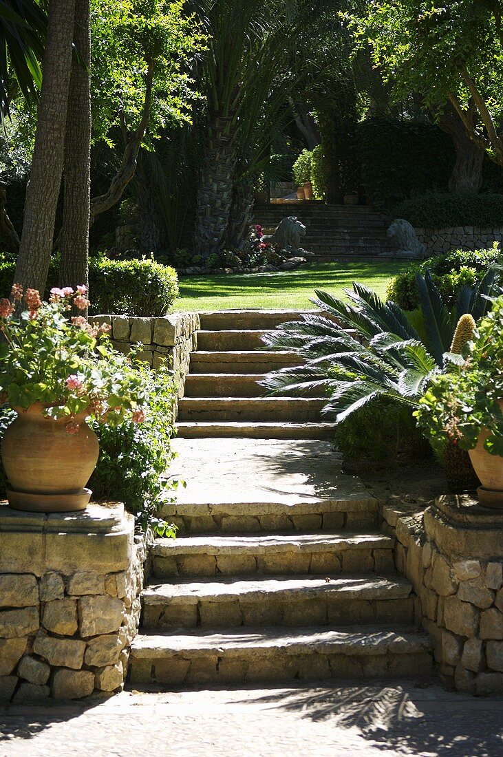 Potted plants next to stone steps leading up to lawn