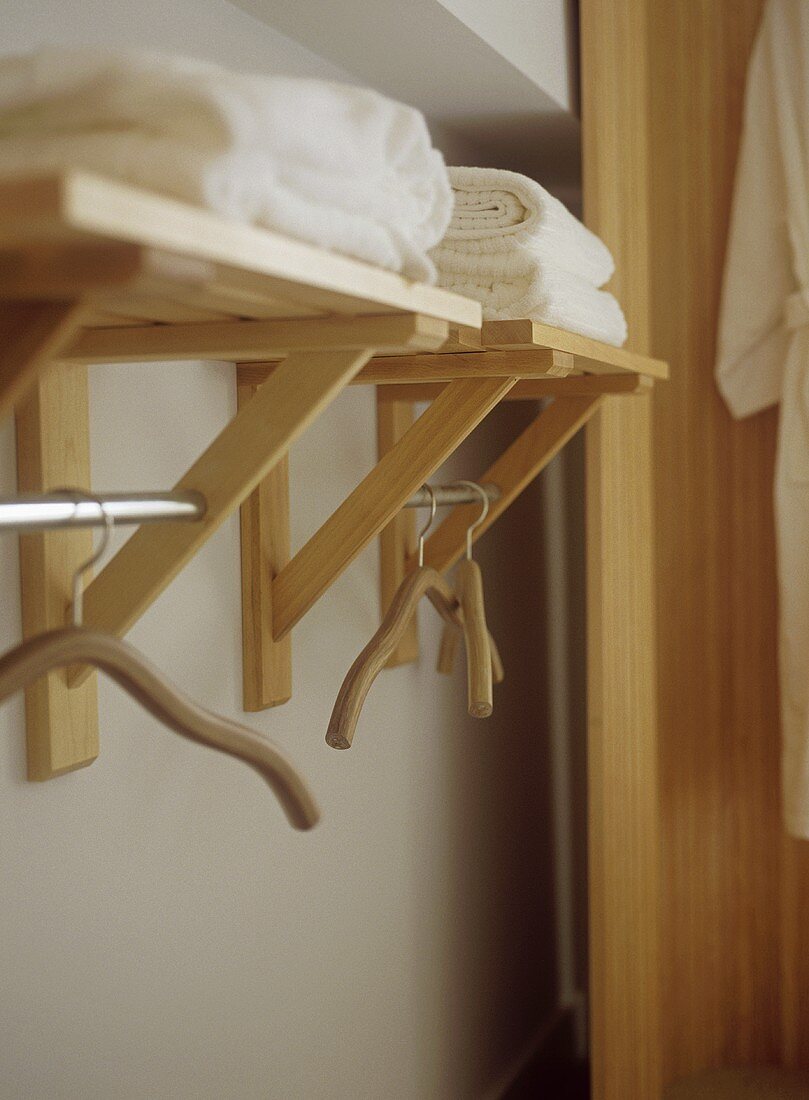 Coat hangers hanging from chrome rail with shelf above