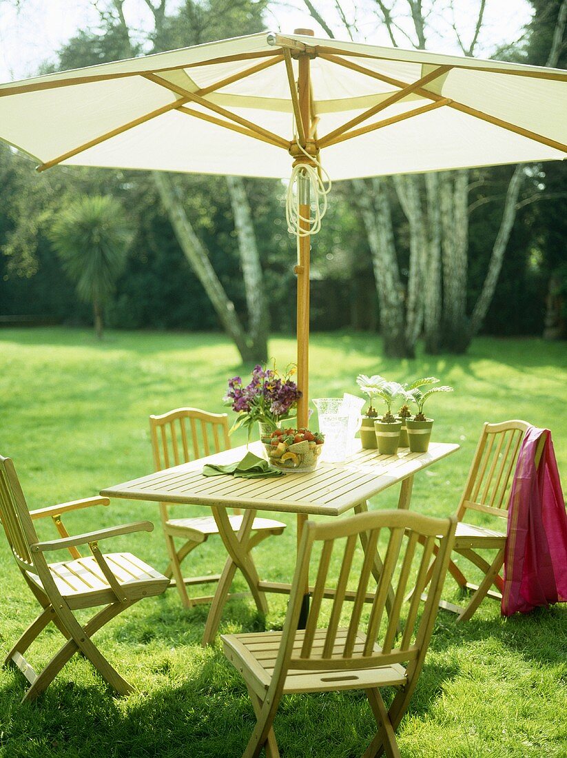 Wooden table and chairs with parasol on lawn.
