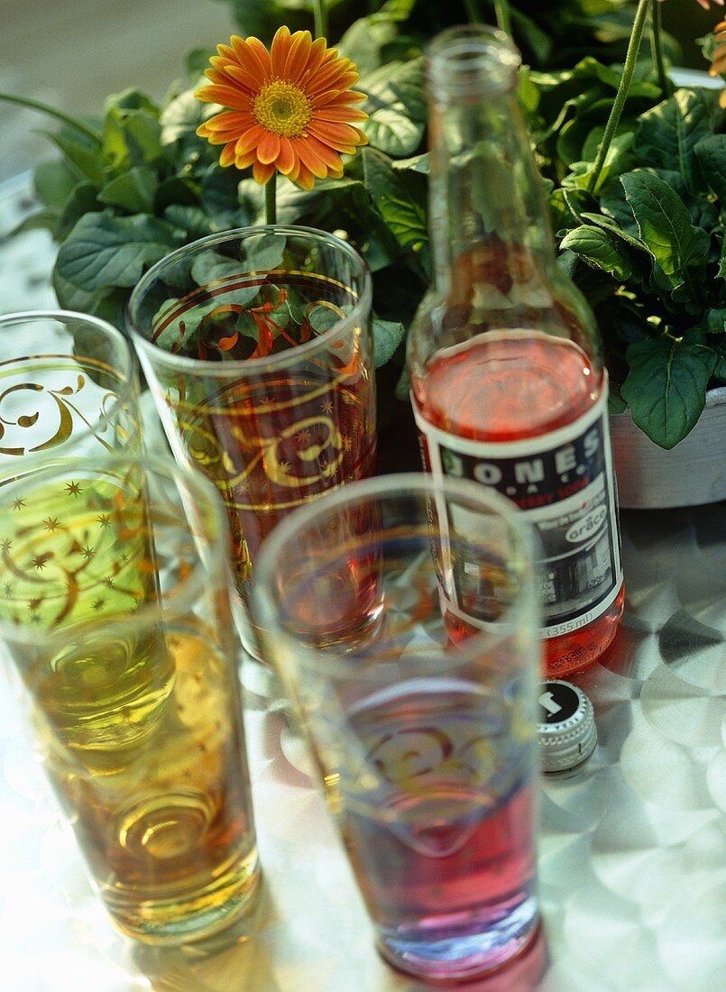 Flasche Cranberry-Soda und Gläser vor Gerbera im Topf