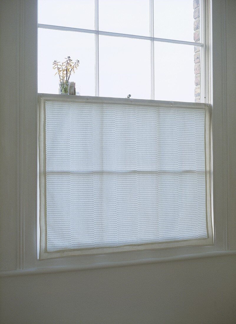 A detail of a simple sash window with a neutral blind curtain