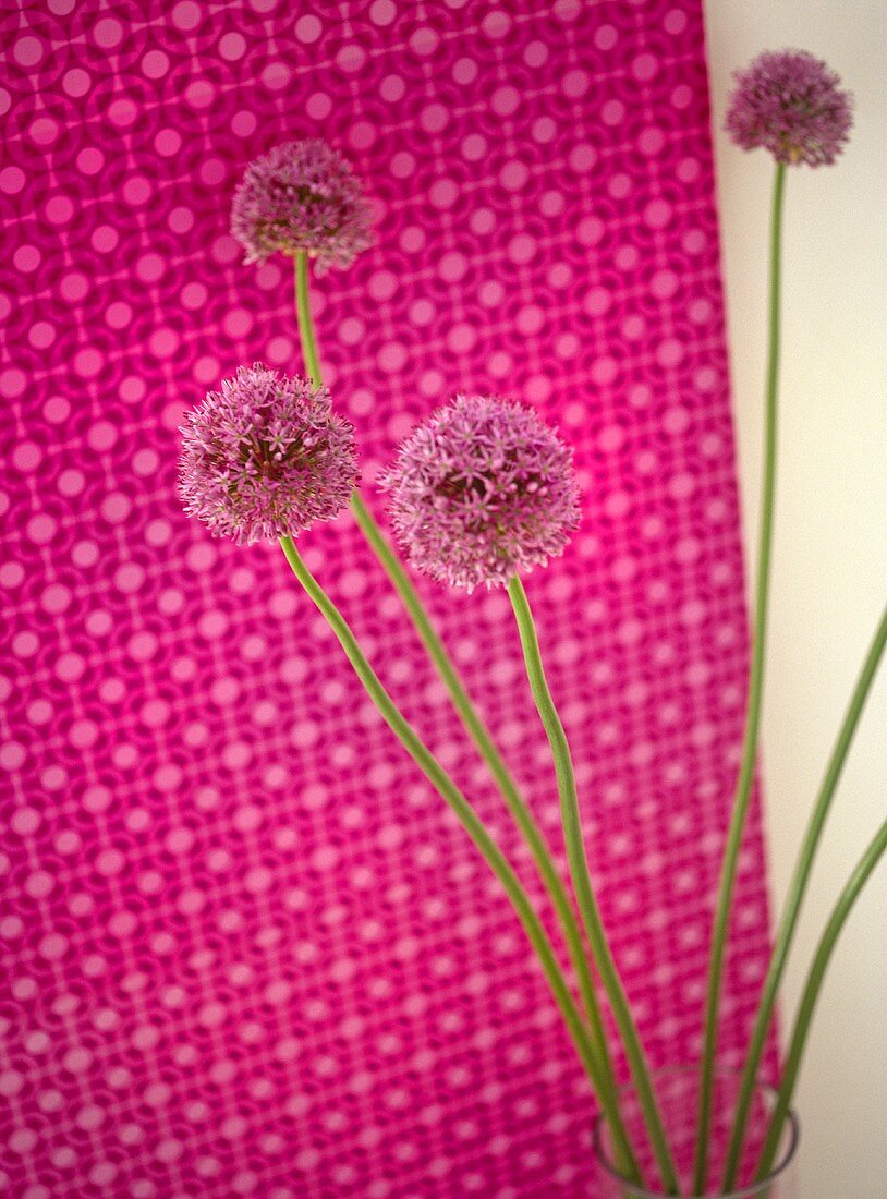 Flower arrangement next to pink retro patterned wallpaper.