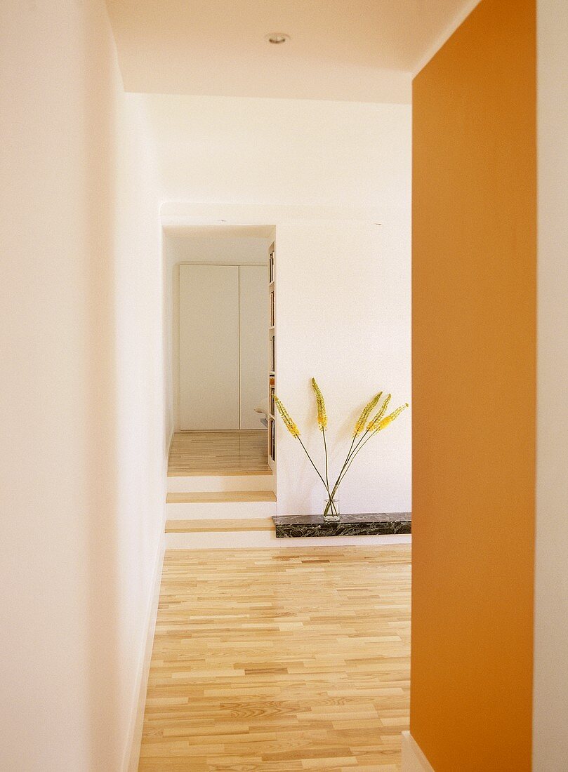 A view of a modern, open plan minimalist room, orange wall, wooden floor,