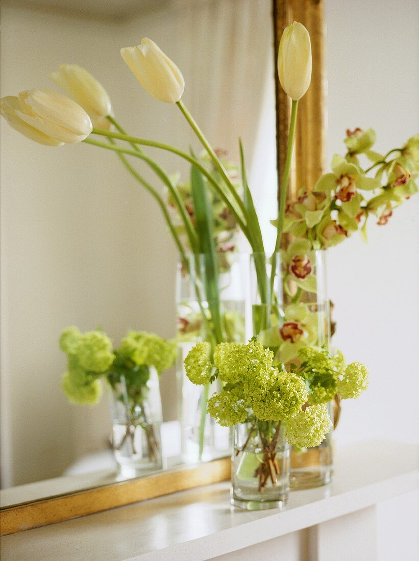 weiße Tulpenin Glasvase auf weisser Ablage vor Spiegel